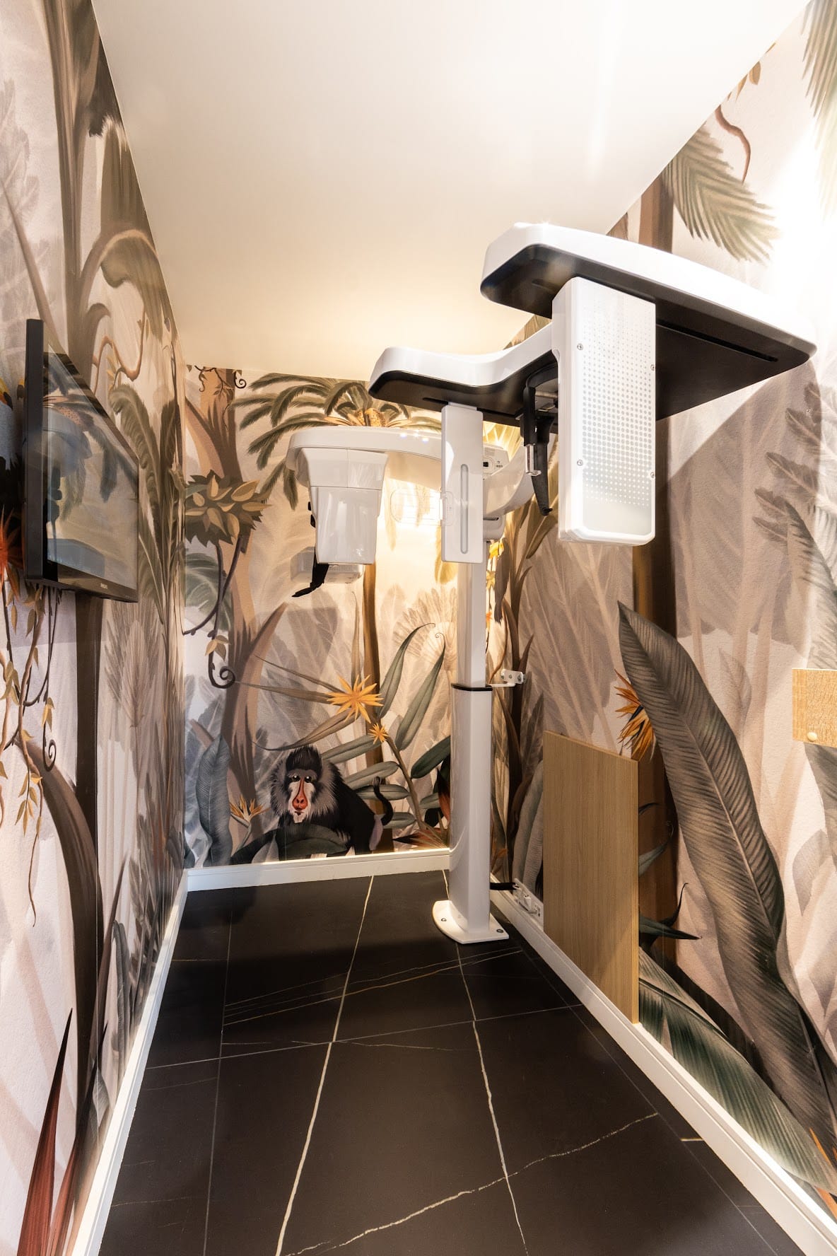 Dima Natacha Architecture - Cabinet Dentaire